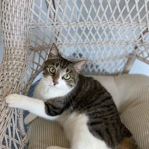 Meet your Posher, Deb